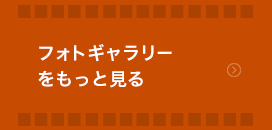 photoギャラリーを見る