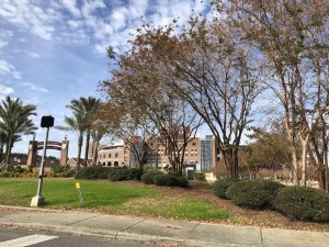 FSU stadium